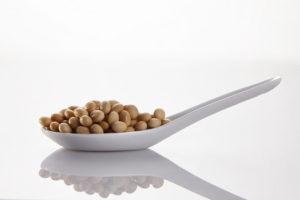 Soya beans on a spoon (low res)